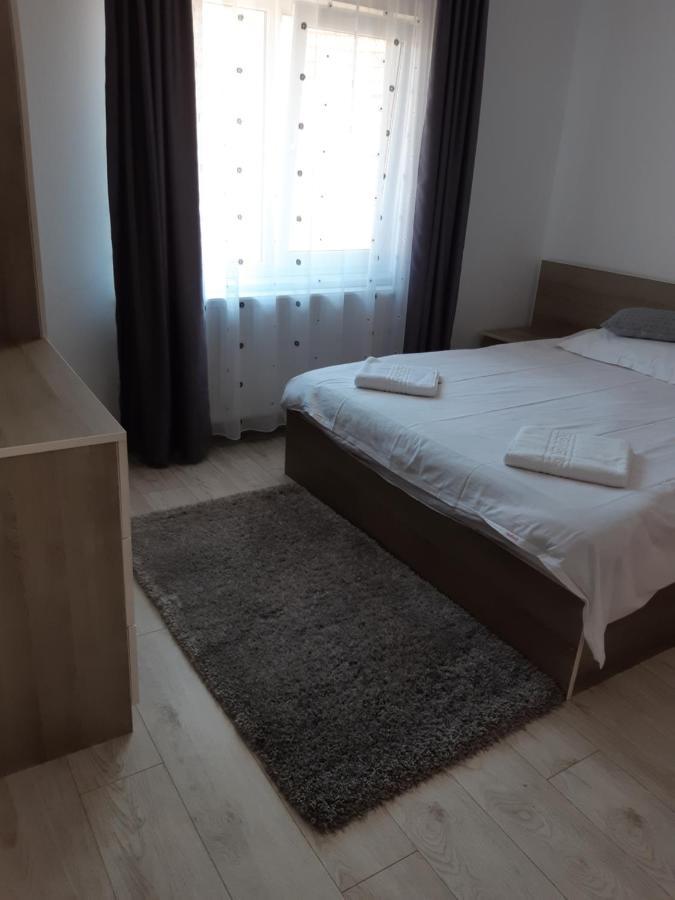 Vila Georgeta Zărneşti 外观 照片