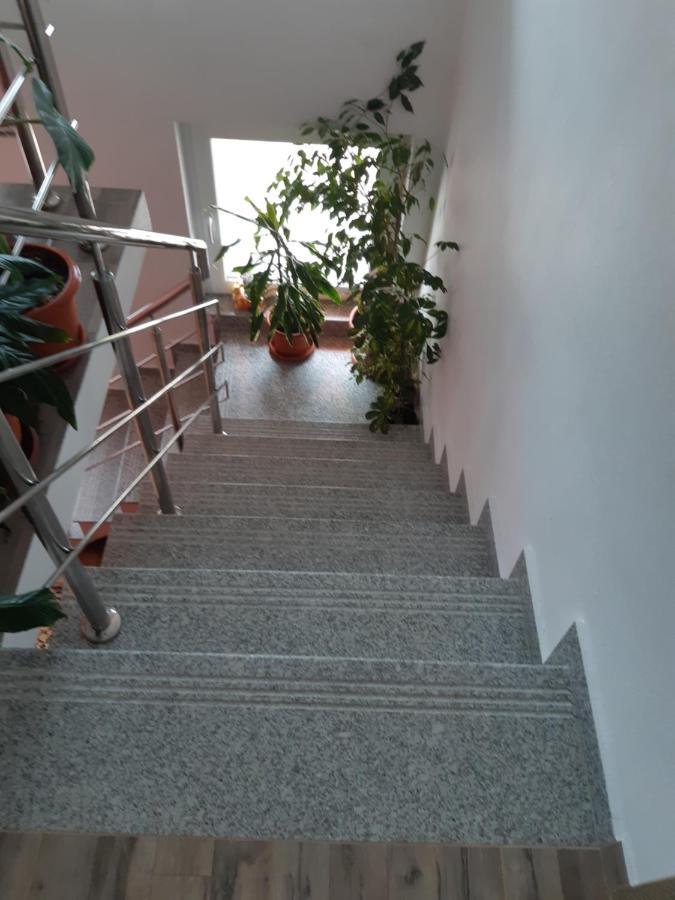 Vila Georgeta Zărneşti 外观 照片