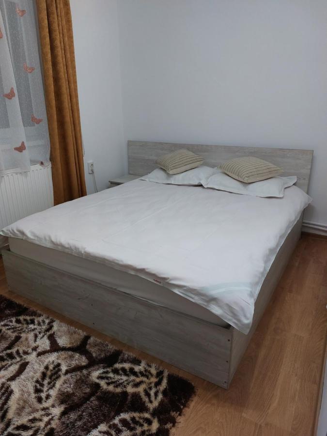 Vila Georgeta Zărneşti 外观 照片